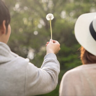【効果あり】帰宅時のおみやげ・プチギフトまとめ